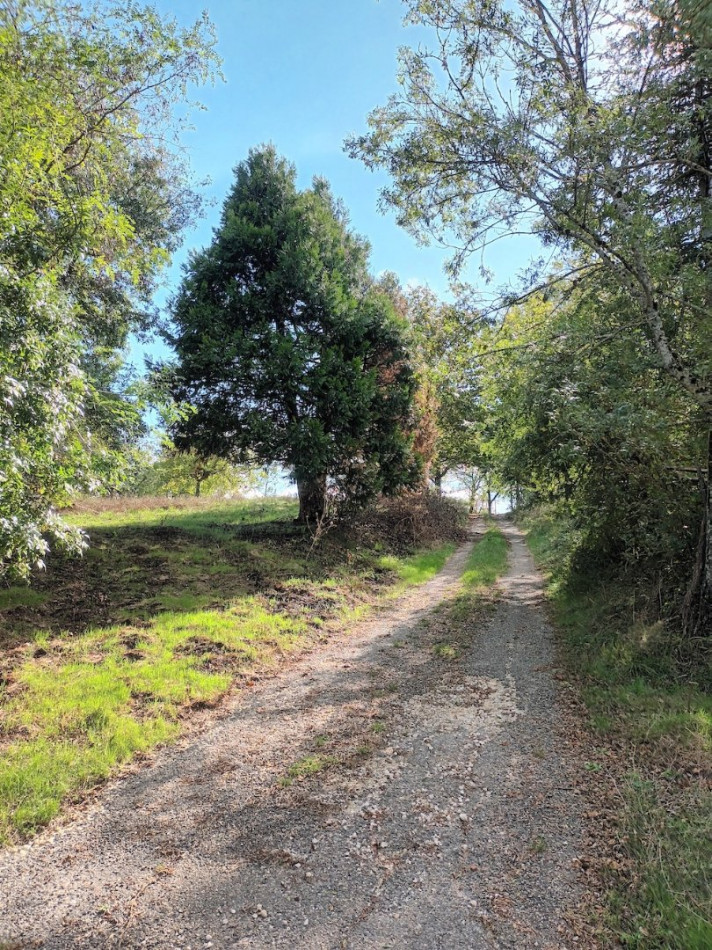 vente Maison de caractre Mauvezin