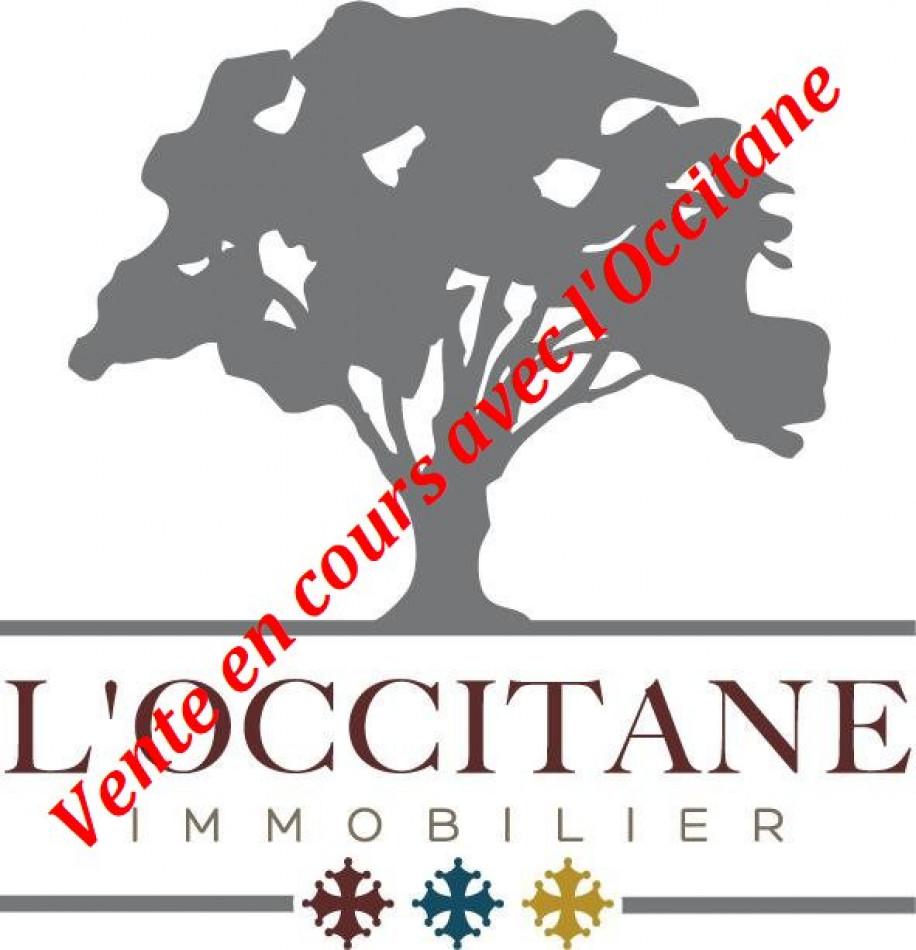 vente Immeuble de rapport L'isle-jourdain - Photo 1