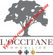 vente Immeuble de rapport L'isle-jourdain