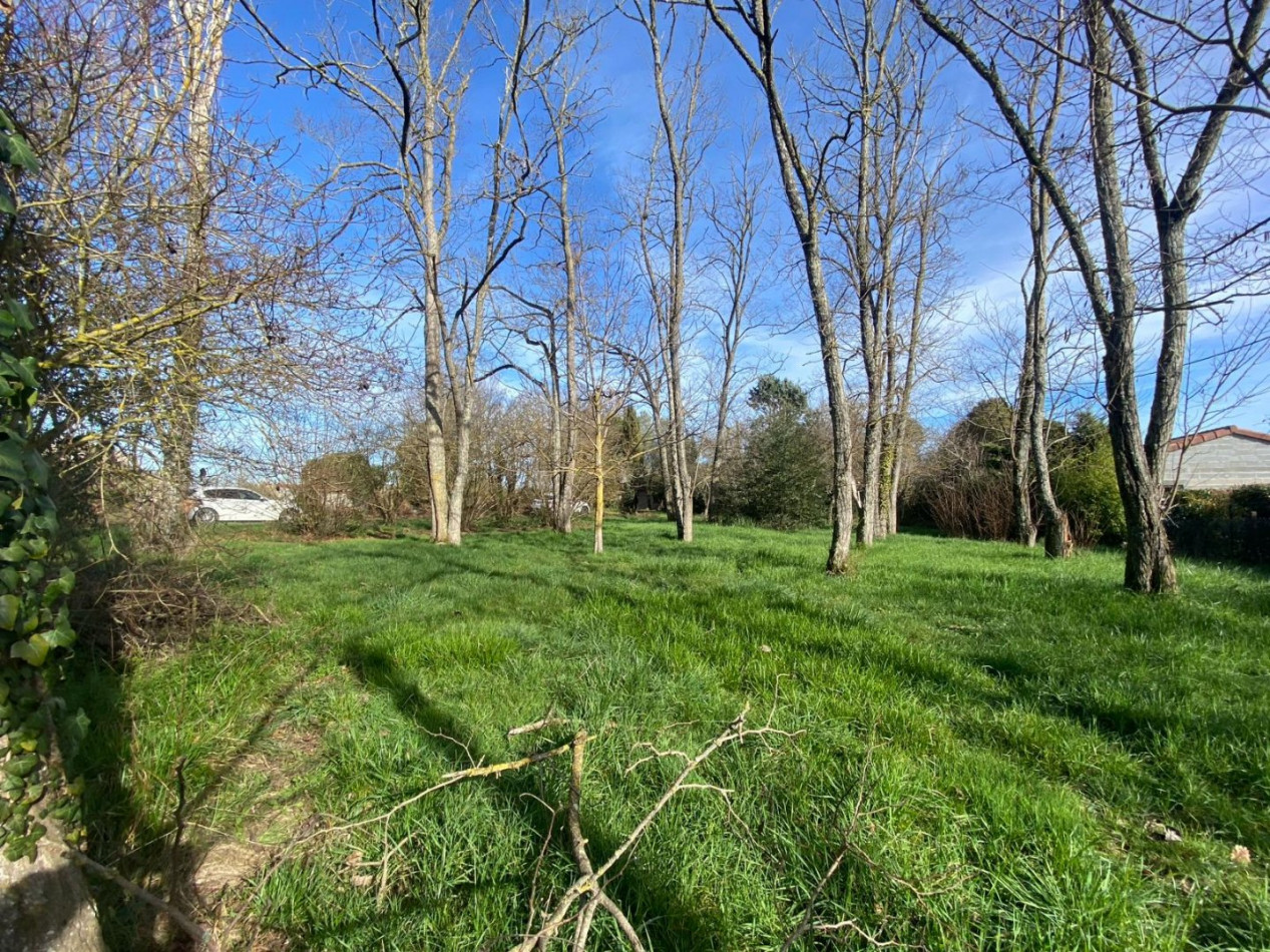 sale Terrain constructible L'isle-jourdain