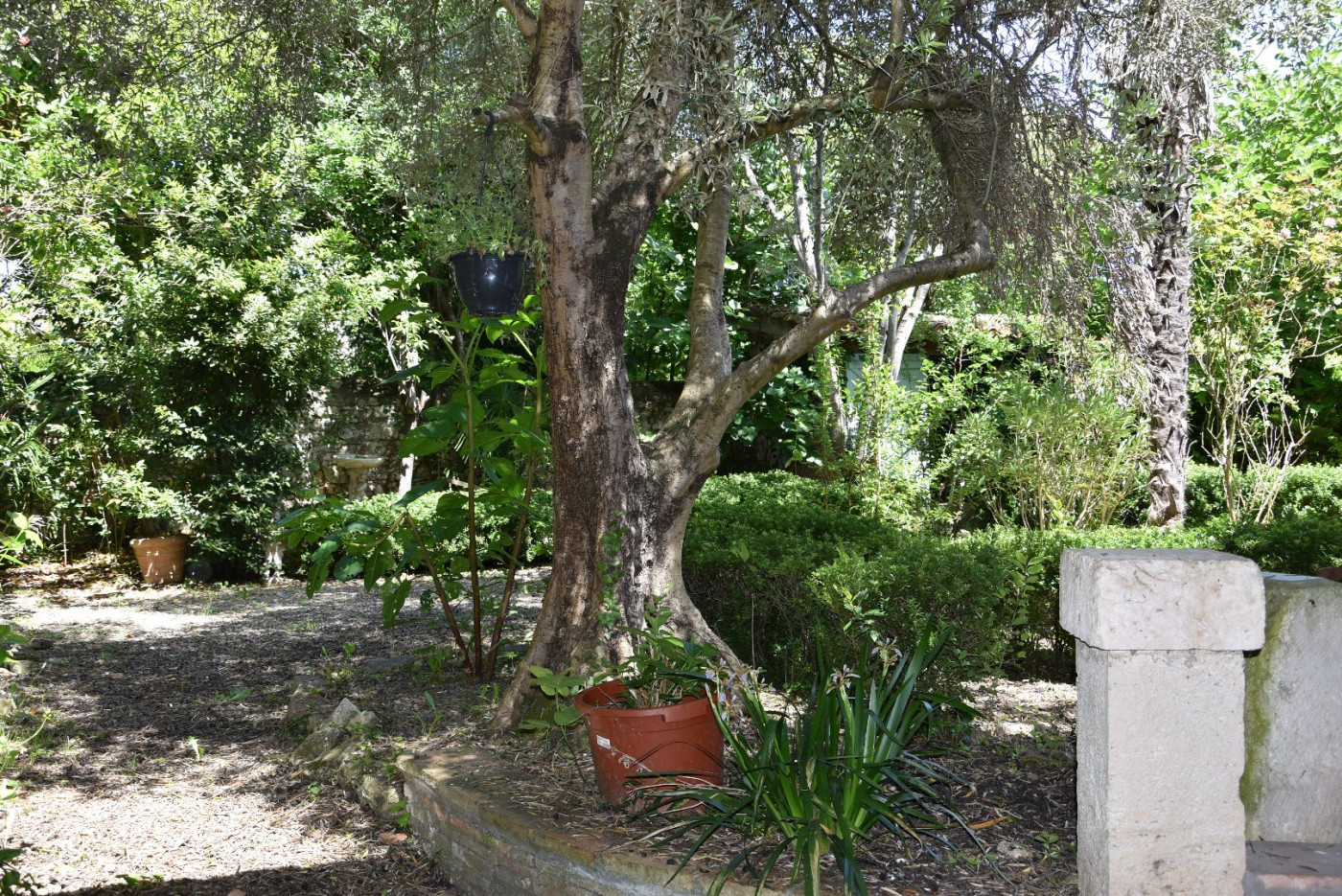 vente Maison de ville Mauvezin - Photo 3