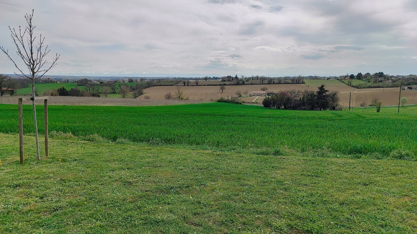 sale Maison L'isle-jourdain - Photo 3