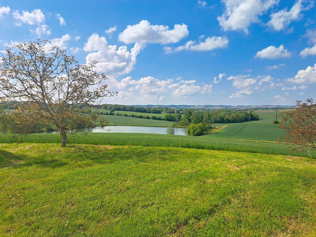 vente Maison de caractère Beaumont De Lomagne - Photo 4