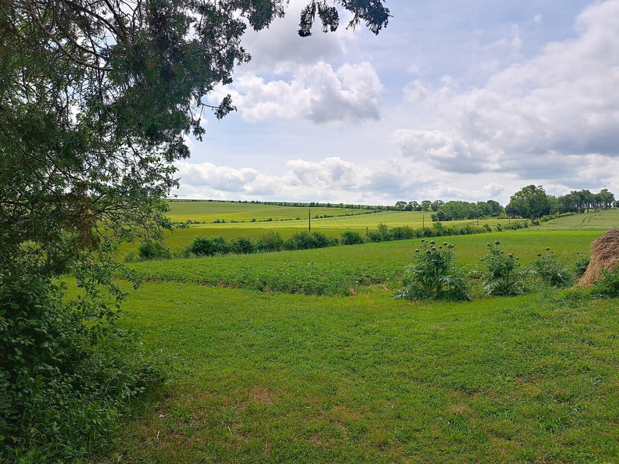 vente Maison Cologne - Photo 3