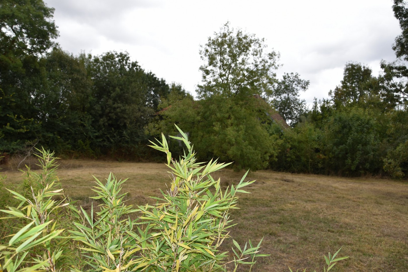 vente Terrain constructible L'isle-jourdain - Photo 2