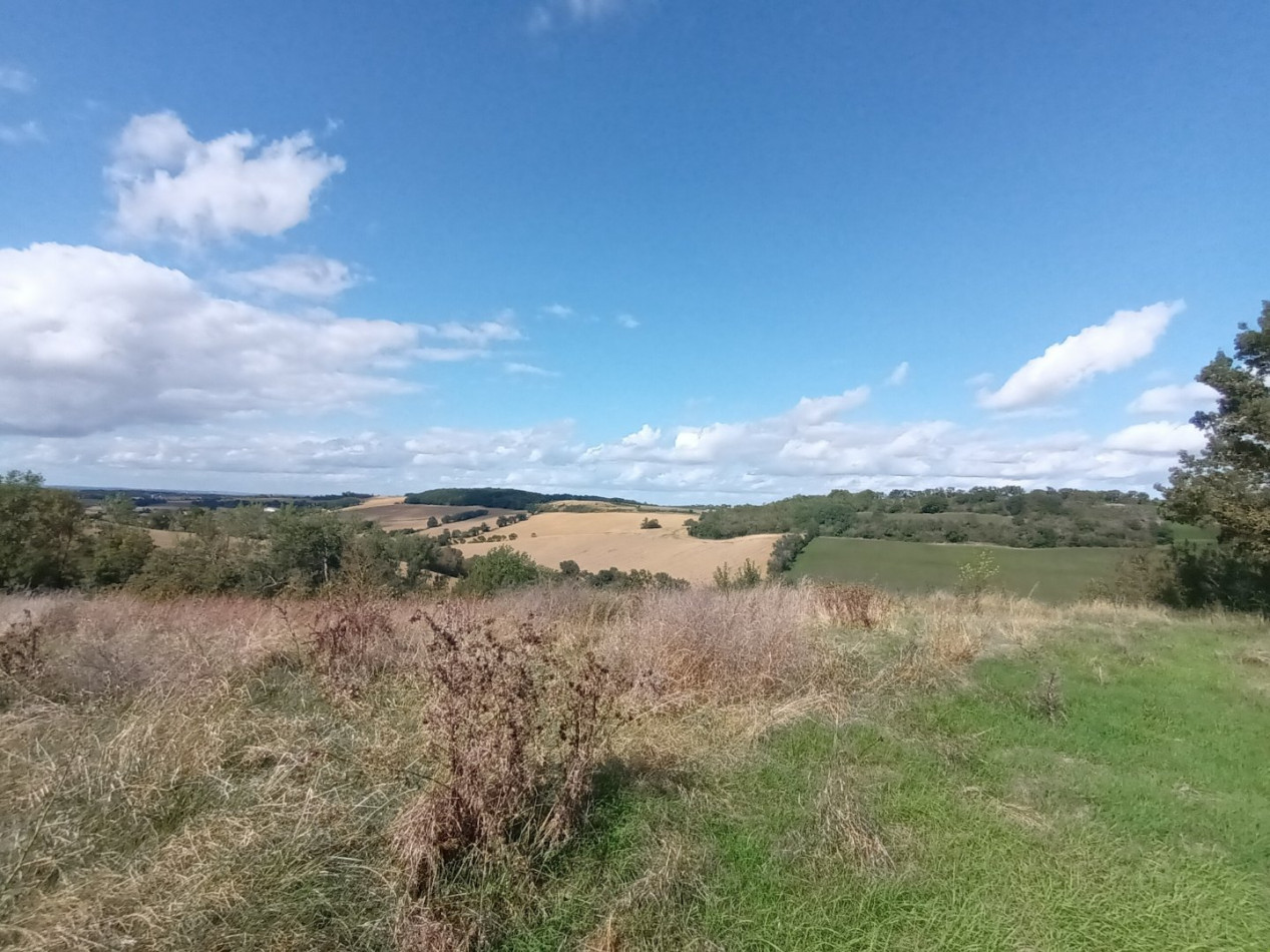 vente Maison de caractère Mauvezin - Photo 8
