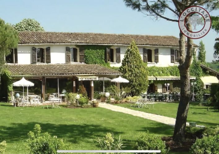 vente Domaine Montaigut-sur-save
