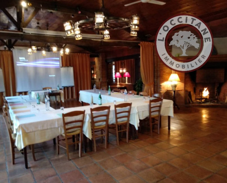 vente Domaine Montaigut-sur-save - Photo 8