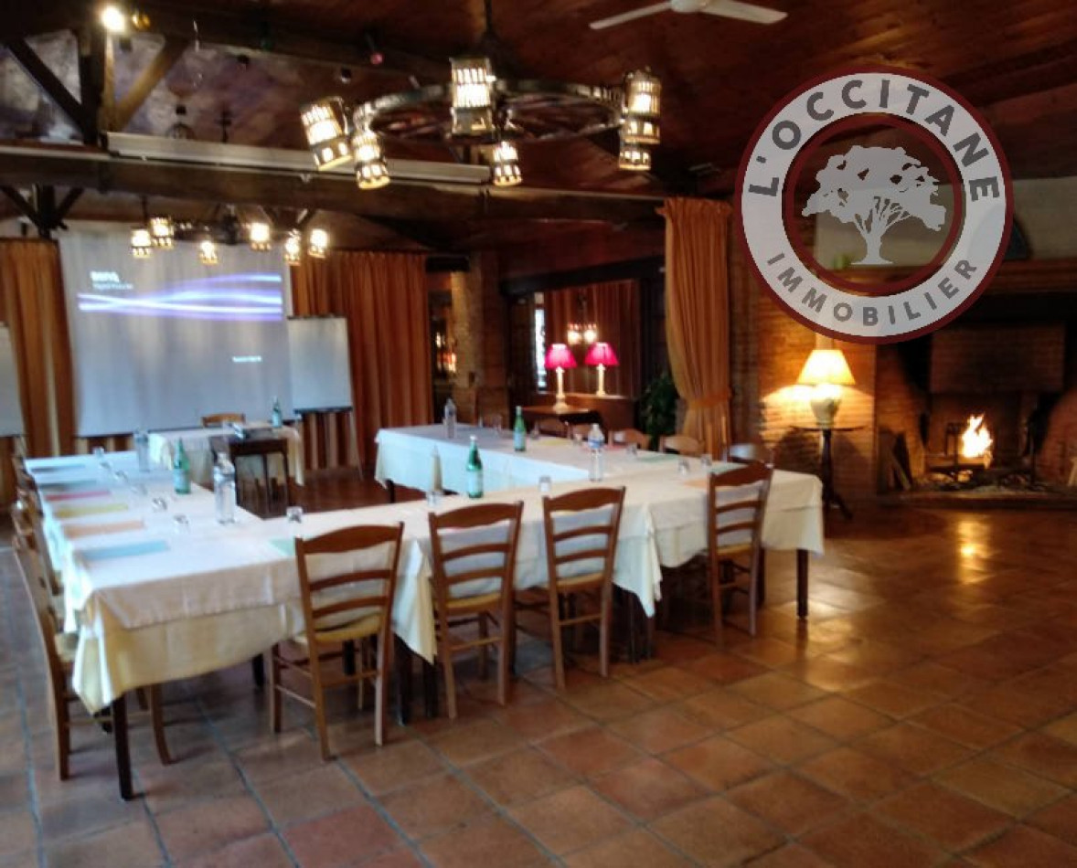 vente Domaine Montaigut-sur-save - Photo 8