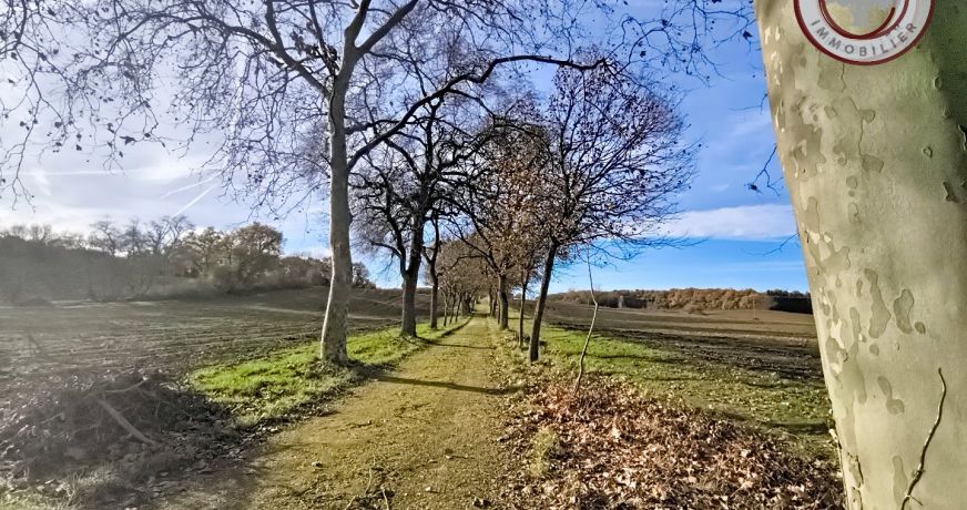 vente Maison de caractère Mauvezin