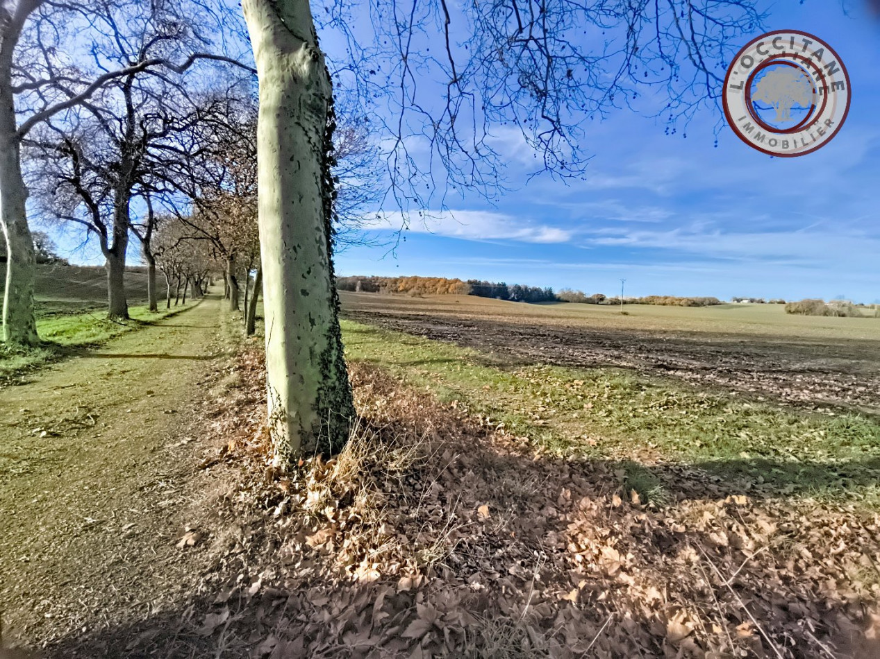 vente Terrain agricole Mauvezin - Photo 1