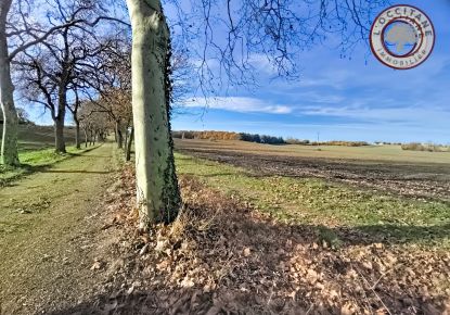 vente Terrain agricole Mauvezin