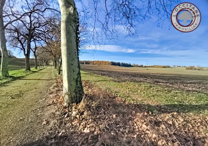 vente Terrain agricole Mauvezin