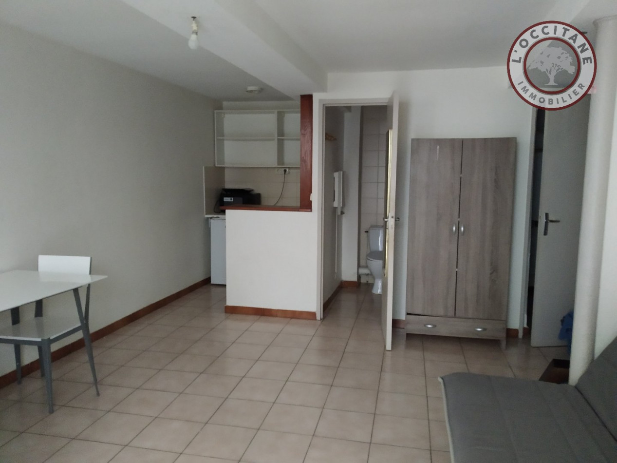 location Appartement Auch - Photo 7