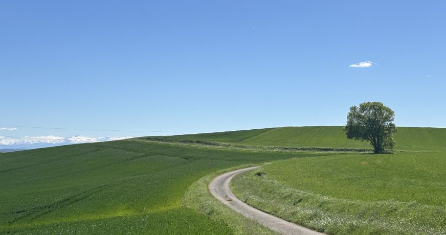 vente Maison de caractère Samatan
