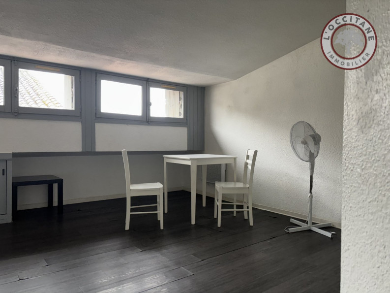 location Appartement Auch - Photo 8