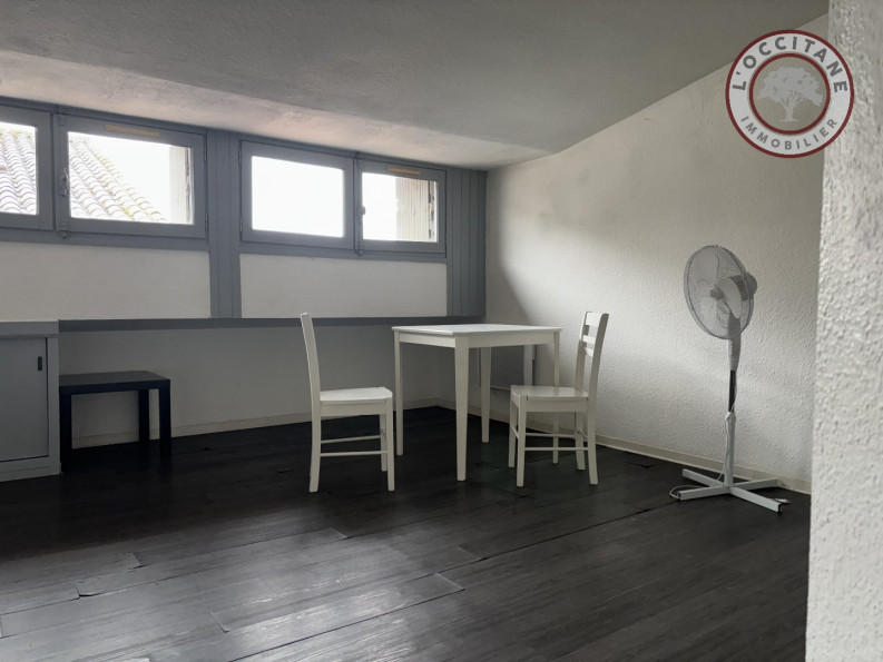 location Appartement Auch - Photo 9
