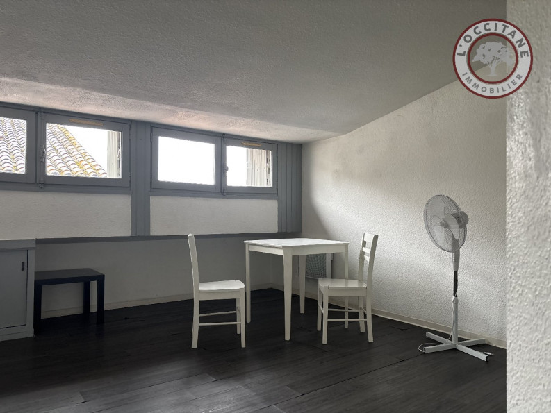 location Appartement Auch - Photo 10
