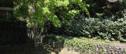 location Appartement Saint-jean