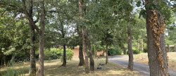 vente Maison de caractère L'isle-jourdain