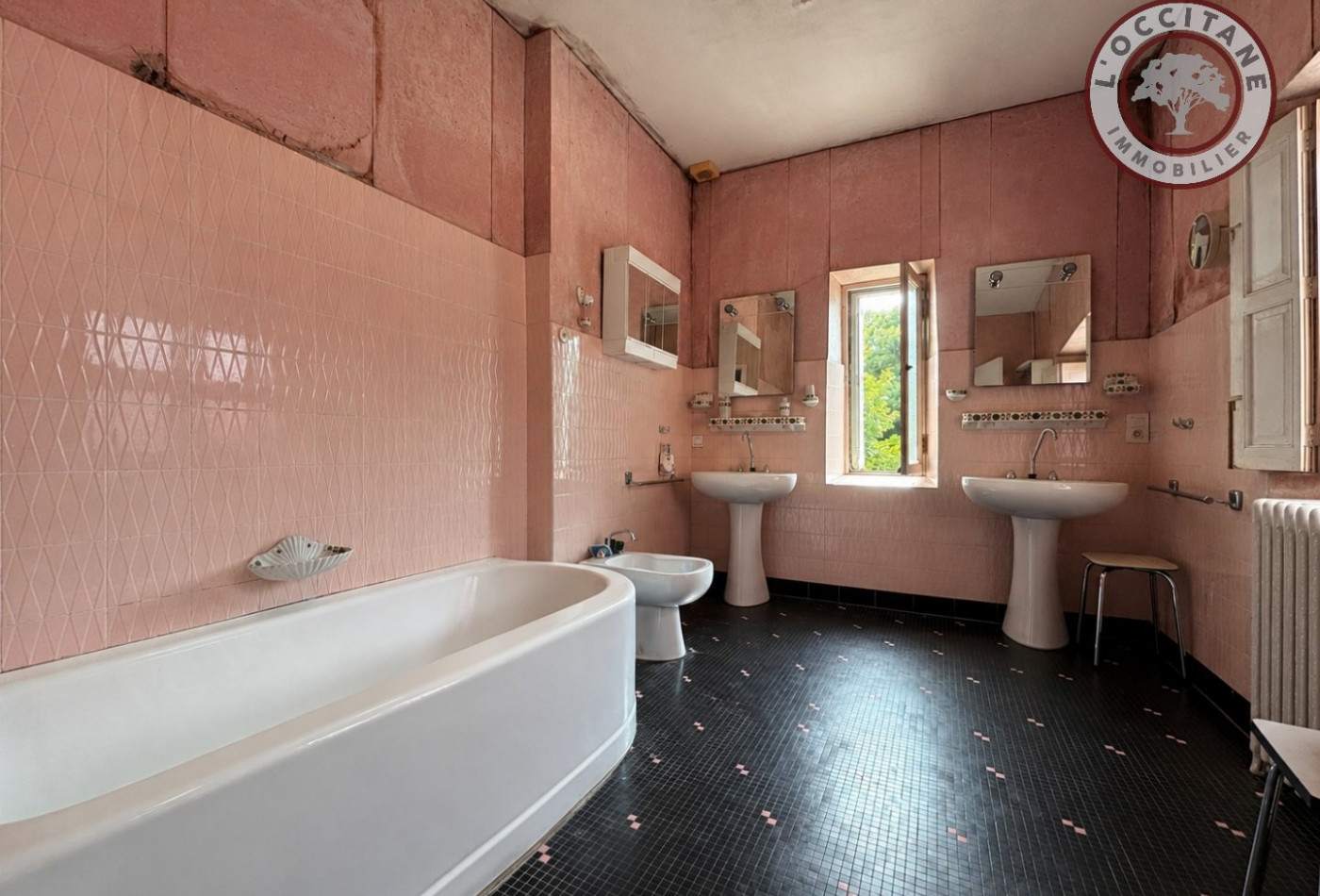 vente Maison de maître L'isle En Dodon - Photo 10