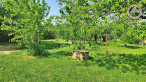 vente Maison L'isle-jourdain