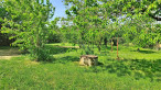 à vendre Maison L'isle-jourdain