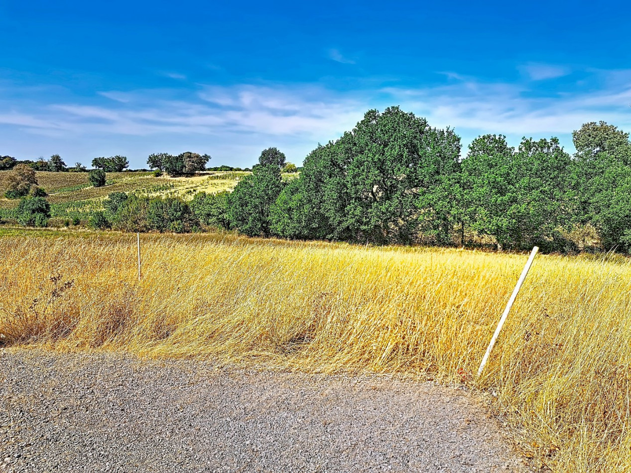 vente Terrain Gimont - Photo 2