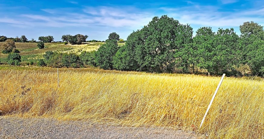 vente Terrain Gimont