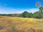 vente Terrain Gimont