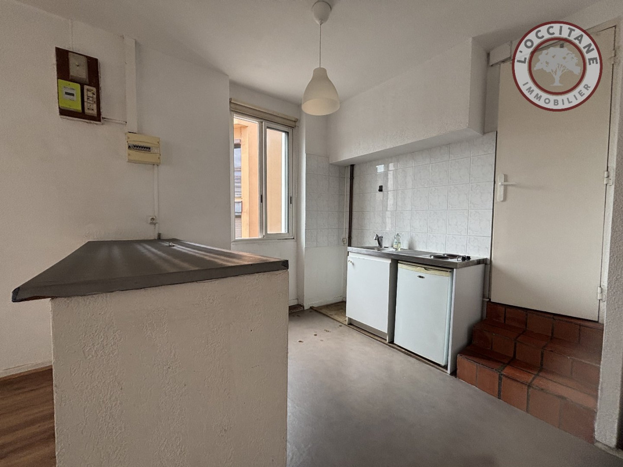 location Appartement Toulouse - Photo 2