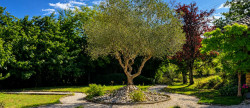 vente Maison L'isle En Dodon