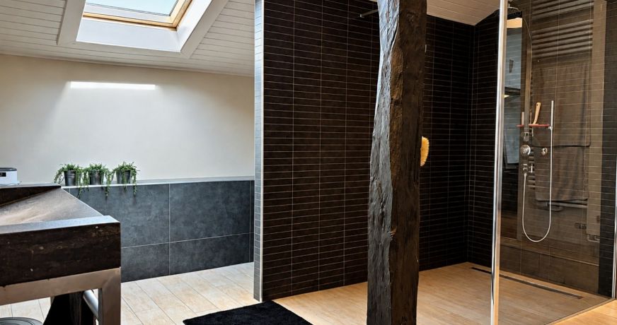 vente Maison L'isle En Dodon