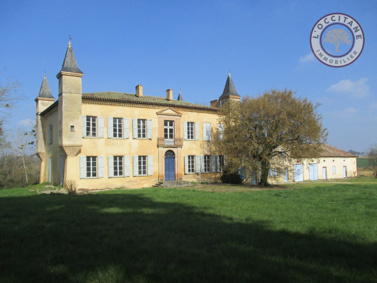 sale Château L'isle-jourdain - Photo 1