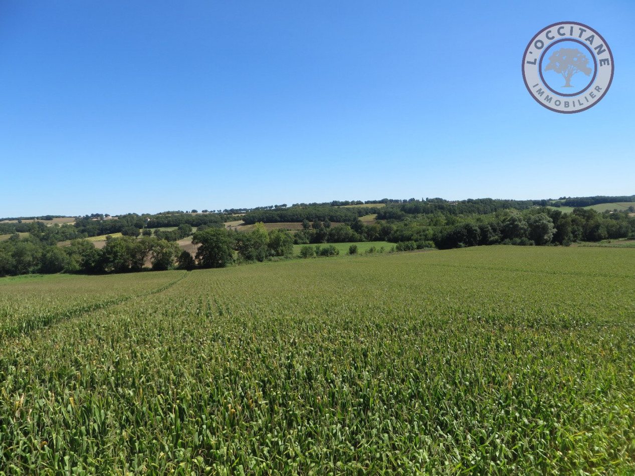 A vendre Mauvezin 32007822 L'occitane immobilier