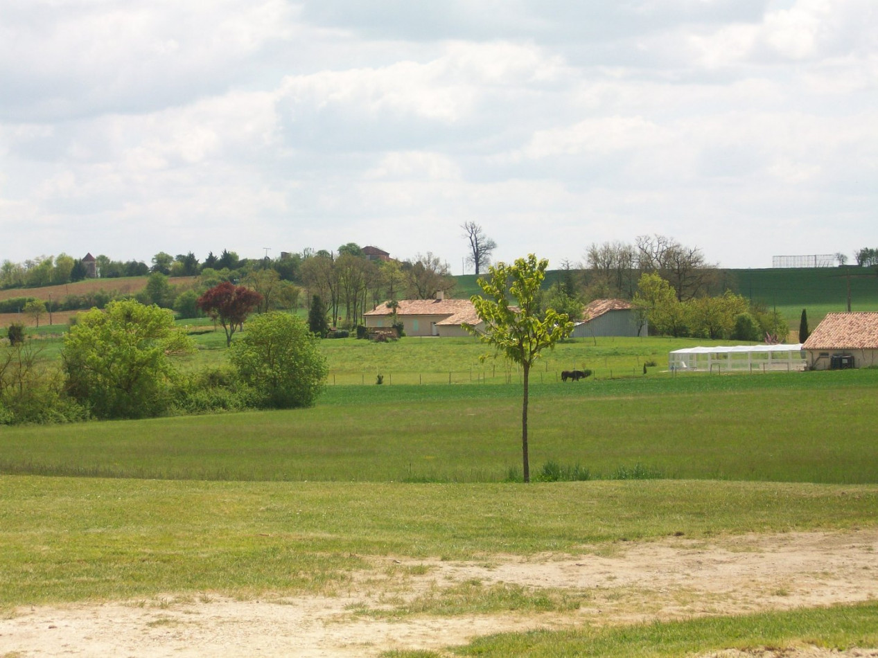 A vendre Mauvezin 32007848 L'occitane immobilier