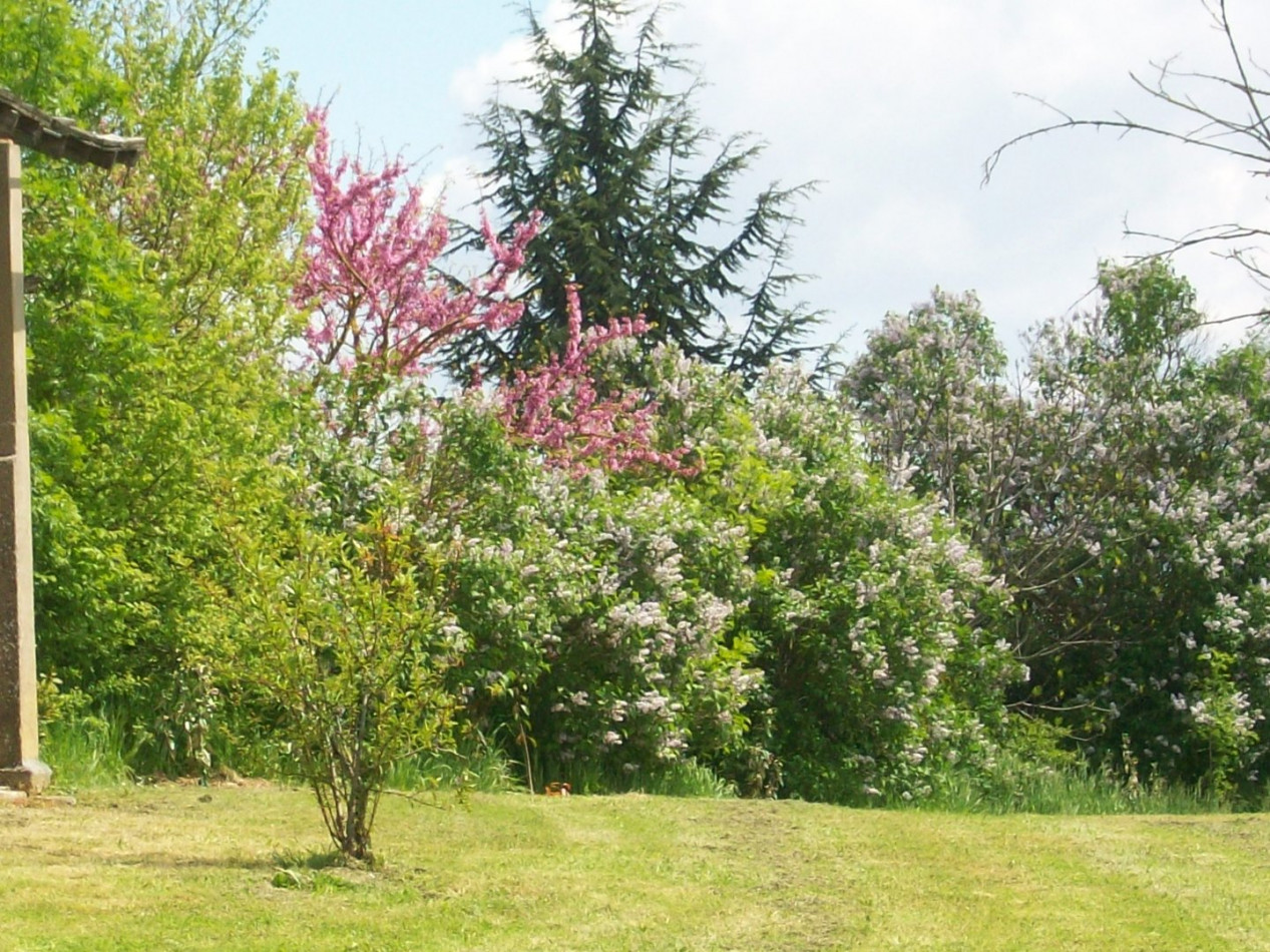 A vendre Mauvezin 32007848 L'occitane immobilier
