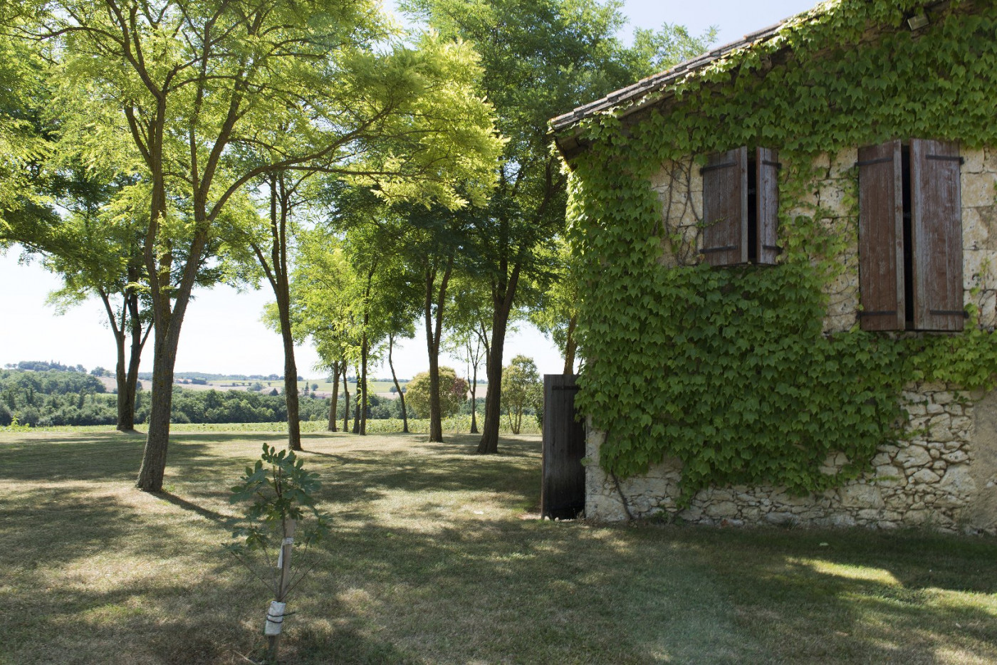 A vendre Mauvezin 32007858 L'occitane immobilier