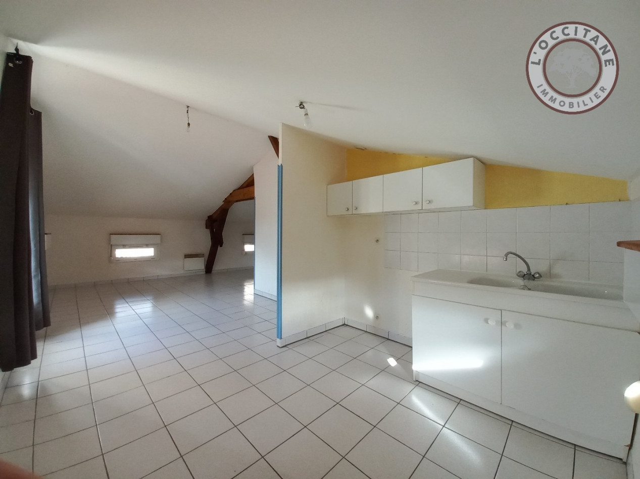 location Appartement Mondonville - Photo 2