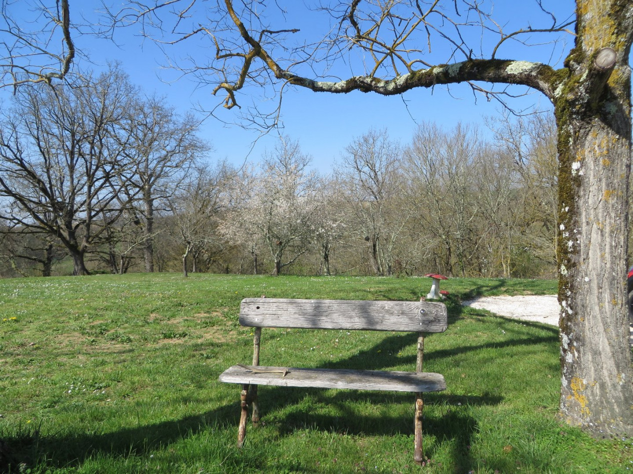 A vendre Mauvezin 32007875 L'occitane immobilier