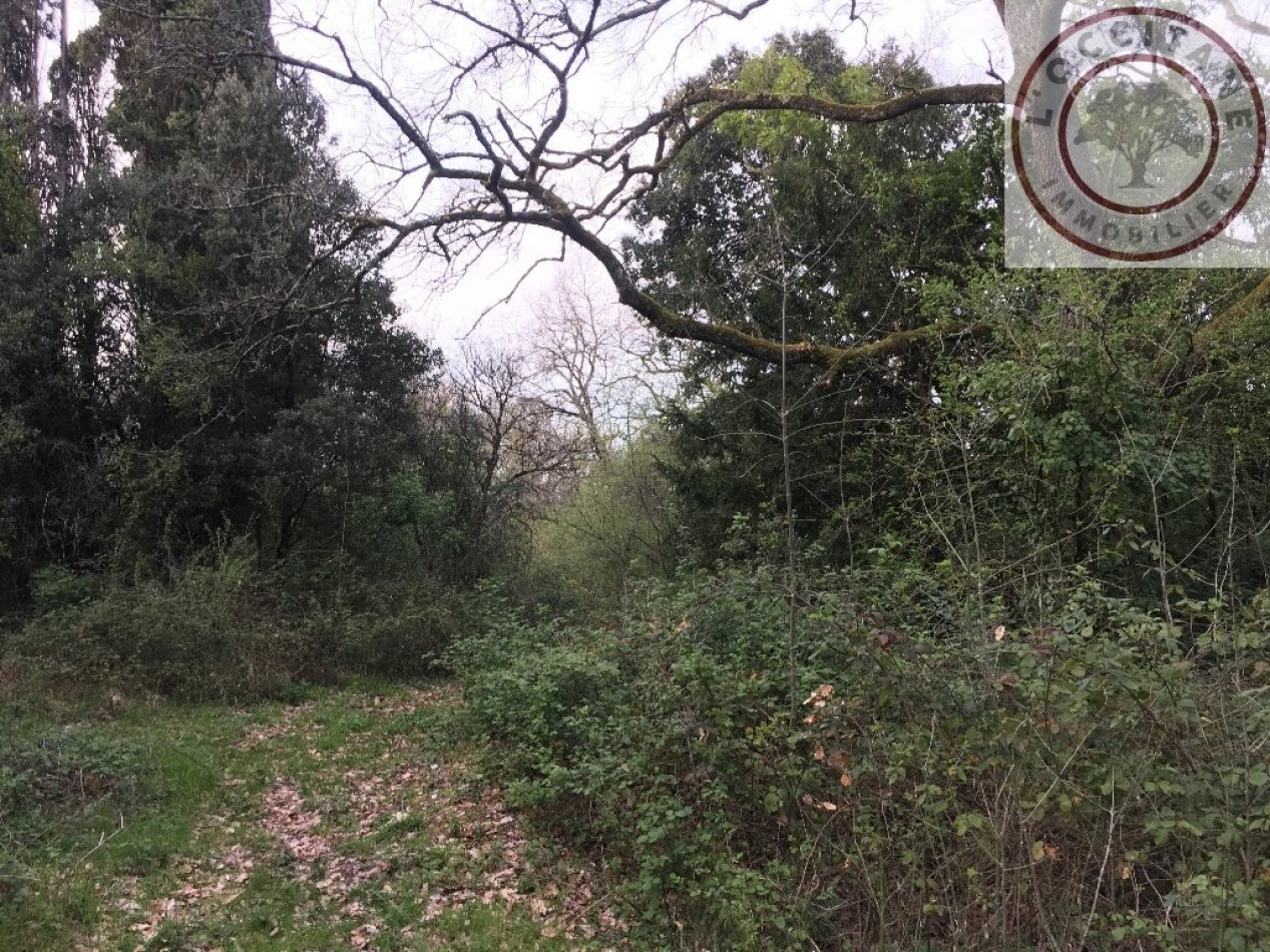 A vendre L'isle-jourdain 32007898 L'occitane immobilier