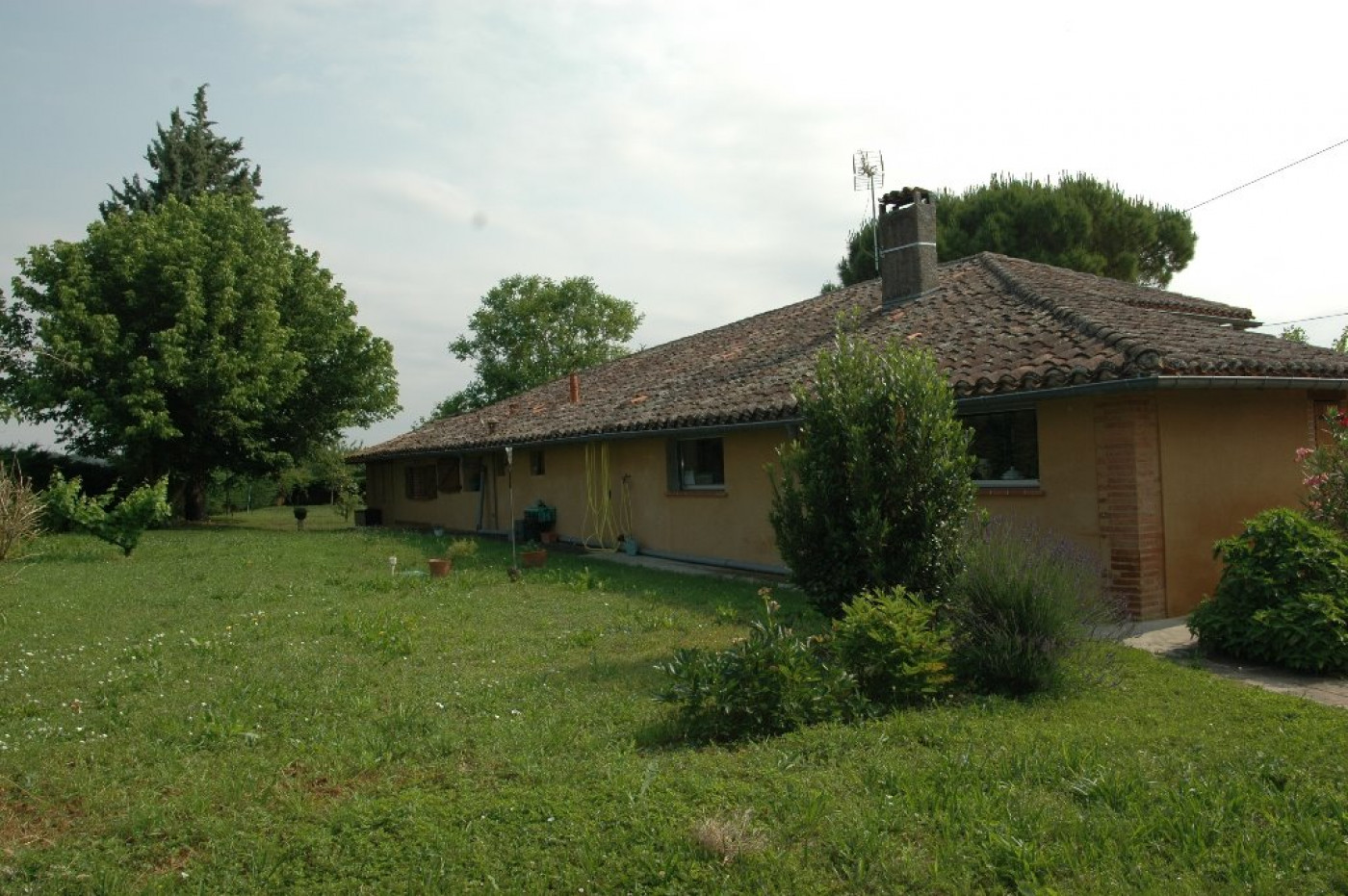 A vendre L'isle-jourdain 32007933 L'occitane