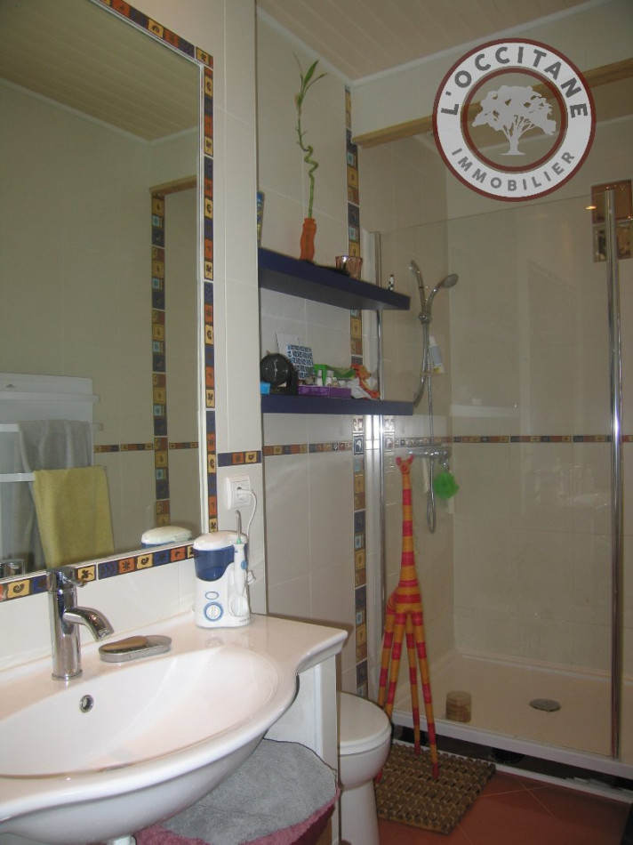A vendre L'isle-jourdain 32007955 L'occitane immobilier