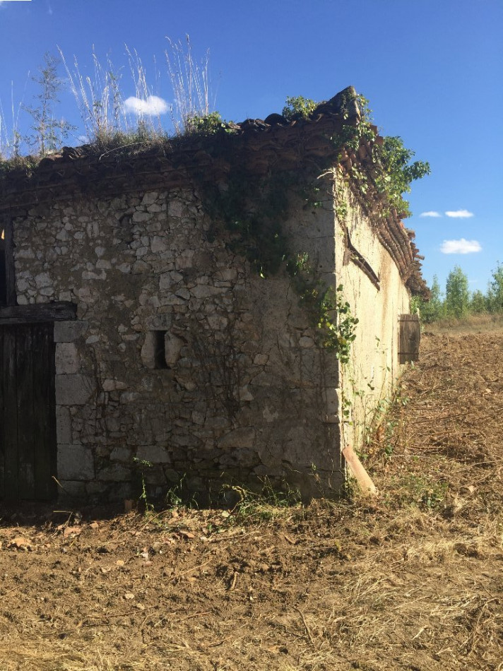 A vendre Mauvezin 32007967 L'occitane immobilier