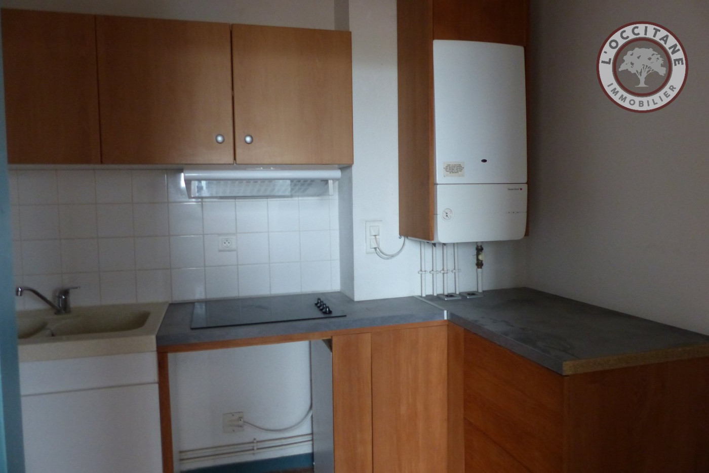 A vendre Levignac 32007969 L'occitane immobilier