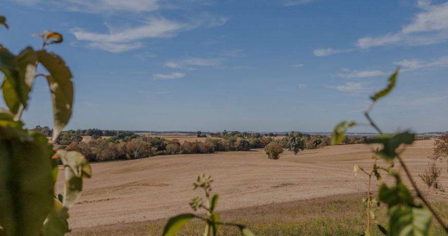 vente Maison de campagne Fleurance