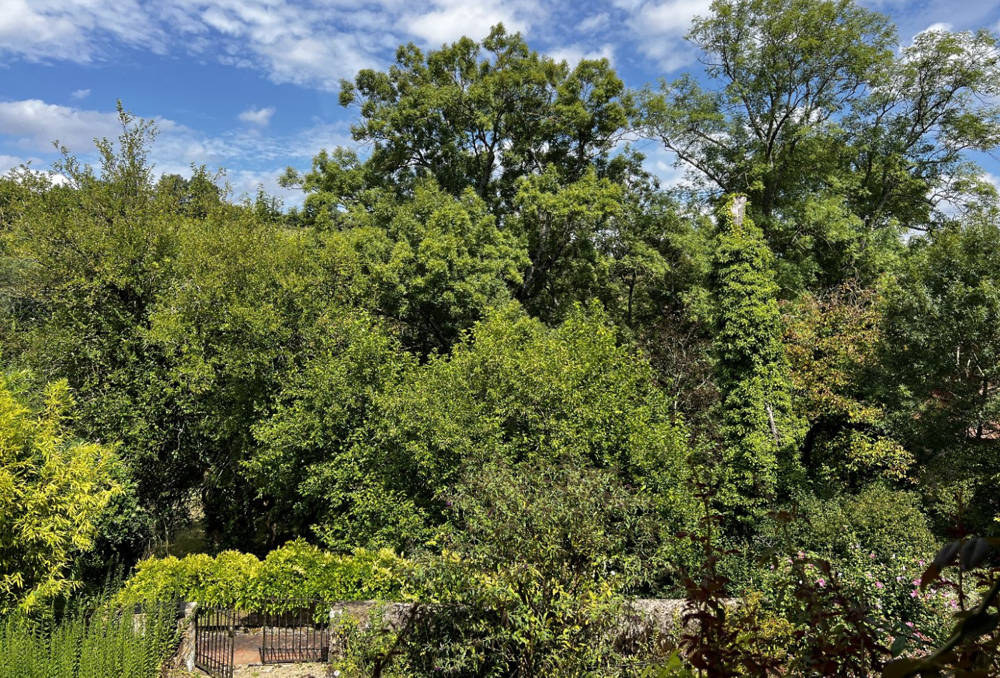 vente Maison de caractère Mirande - Photo 7