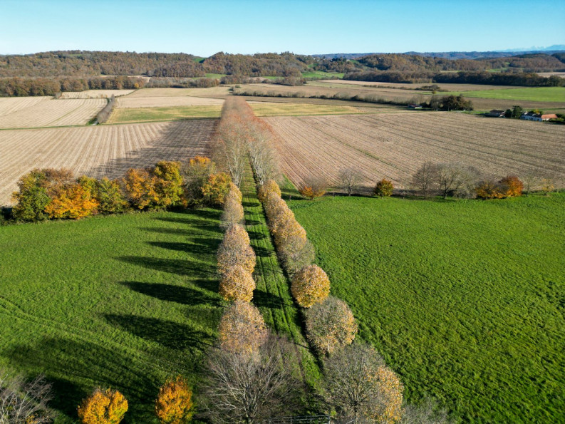 vente Domaine Collongues - Photo 5