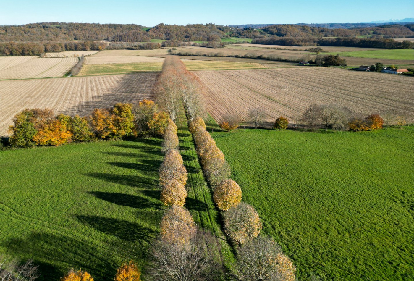 vente Domaine Collongues - Photo 5