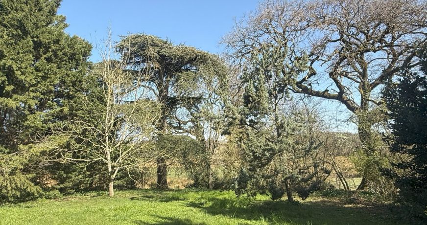 vente Maison de campagne Valence Sur Baise